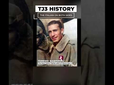 How a WWII Pilot Actually Switched Sides! #History