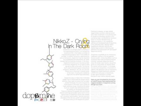 Nikko.Z - In The Dark Room - Dopamine Music