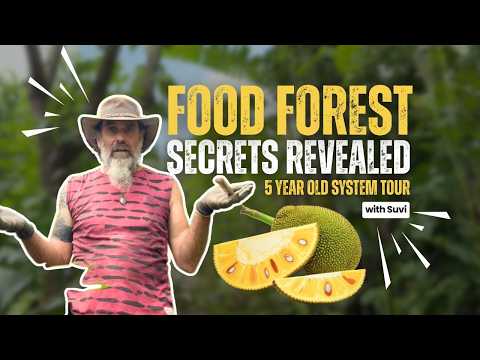 Suvi's Grassland to Food Forest: A Permaculture Journey