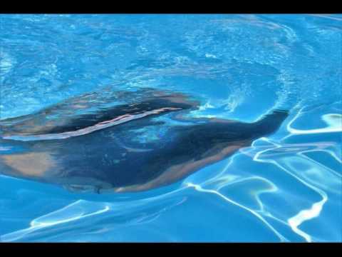 DJ Wallis One FT Talix   Moto'i Siale