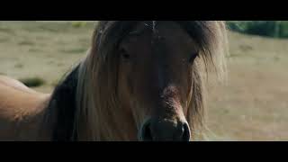 BELINDA | NFMLA July 13, 2024