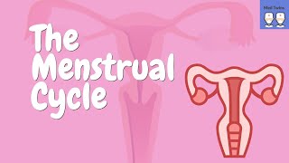 The Menstrual Cycle made simple