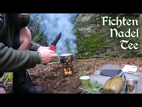 Spruce needle tea on a wood fire in the stony forest - how do I recognize spruce, fir, yew and pine?