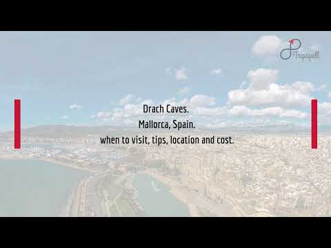 Drach Caves, Mallorca Guide - What to do, When to visit, How to reach, Cost  Tripspell