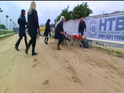 2017 WILLIAM HILL FESTIVAL FLYER FINAL - T2 PRECISELY