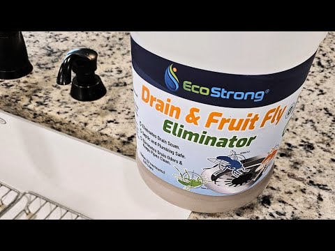 How to Get Rid of Fruit Flies Naturally #fruitfly #naturalproducts #founditonamazon