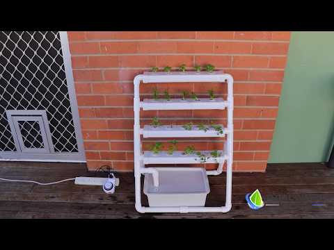 Hydro 20 Small Home Hydroponic kit product video