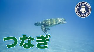 くにさづちのみこと【天理教】【すがマロRADIO】