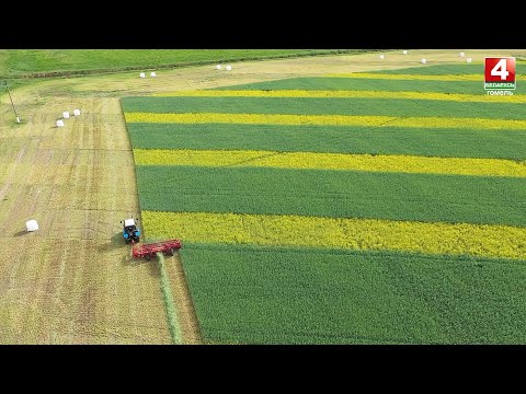 Культура земледелия. Новые подходы. видео