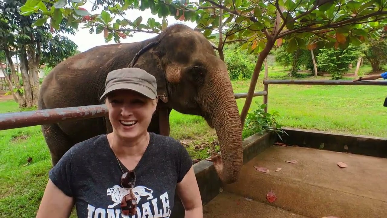 Explore Samui Elephant Sanctuary with tourists in this captivating video.