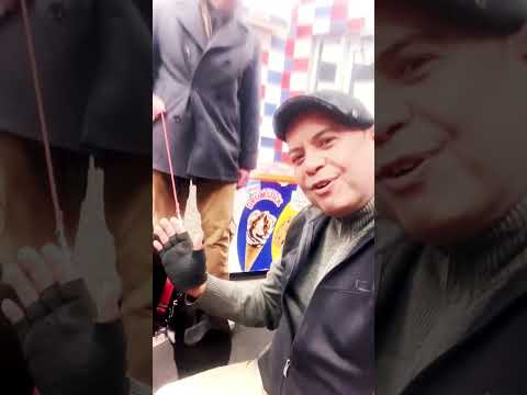 Part-1: “Sancho Poncho” A Beautiful Well Trained Dog with Bark!!! Glen Head, LI, NY, USA. 01/10/23.