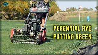 Perennial Ryegrass Putting Green (0.195" height of cut)