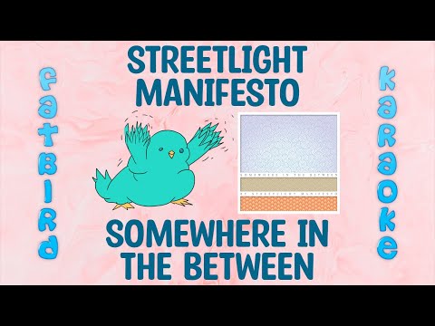 Streetlight Manifesto - Somewhere in the Between - Fatbird Karaoke