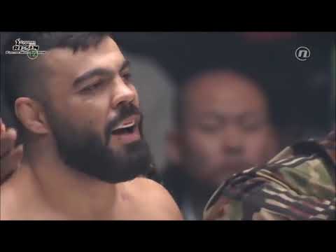 Mirko Cro Cop vs Amir Aliakbari MMA Fight