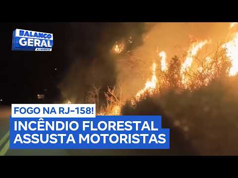 São Fidélis: incêndio em área florestal assusta motoristas na Rodovia RJ-158