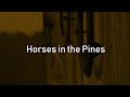 Horses in the Pines (Short Doco)