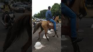 preview picture of video 'O oeste no asfalto, Cavalgada-Araguari MG'
