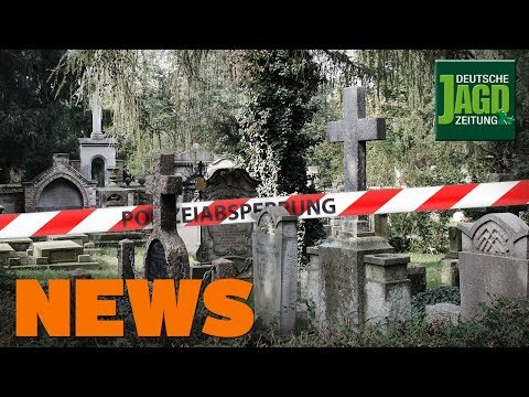 Polizei erschießt Jäger, Jagdscheinentzug nach Wilderei, Wolfs-Zahlen - DJZ-News 18/2019