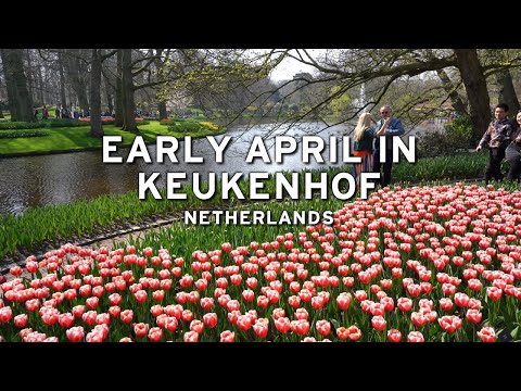 🇳🇱 Early April in Keukenhof - Netherlands  [4K]