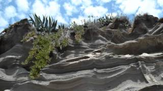 Pino Daniele it&#39;s Beautiful Day