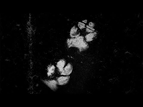 HUSAYN - 100 MOSHKELA | حُسين - 100 مشكلة