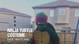 Teenage Mutant Ninja Turtle costume (Raphael)