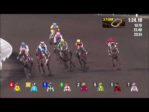 31/3/2021 (547) All For St Paul's - Matthew Poon