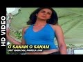 O Sanam O Sanam - Jurm | Udit Narayan, Pamela Jain | Bobby Deol & Lara Dutta