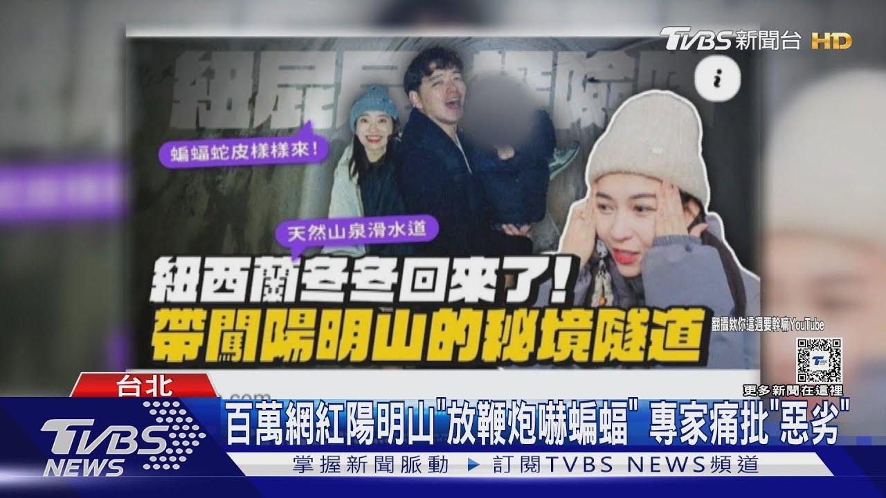 百萬網紅陽明山「放鞭炮嚇蝙蝠」 專家痛批「惡劣」