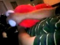 Elmo Sex Education