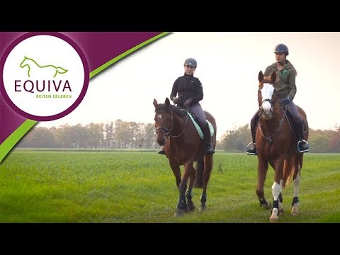 Reitbeteiligung - das solltest du wissen!