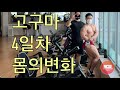 고구마 4일차! 몸이 벌써 변했어!!? 공복체중 80kg