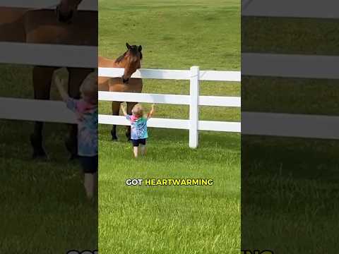 Horse’s shocking reaction when it reached him! 🤯💛 #animals #horse  #smartanimals