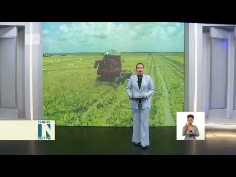 Breves Nacionales en Cuba