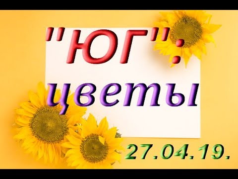 Огромный ВЫБОР ЦВЕТОВ в "Юге",27.04.2019.