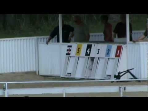 Tavaszi Kölyök Derby 2012. Consolation 275m. Csontrakéta Black And White