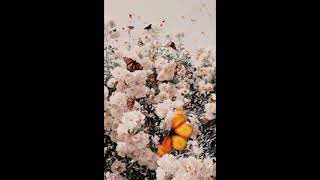 Emeli Sandé - Sparrow [ Slowed + Reverb ]
