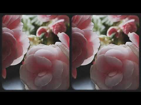 siempre te voy a querer - arroba nat cover