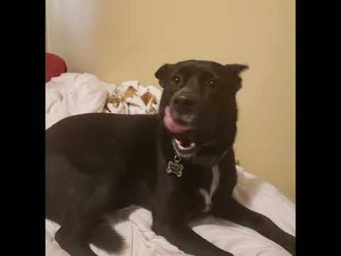 Ikarus - Summers in Japan (Jumpman 93 - Bruh remix)