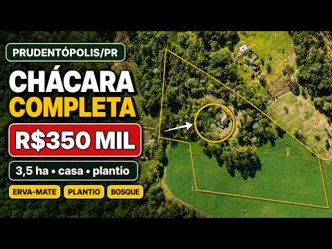 Chácara à venda em Prudentópolis PR | 3,5 ha com casa, erva-mate e plantio | R$350 mil