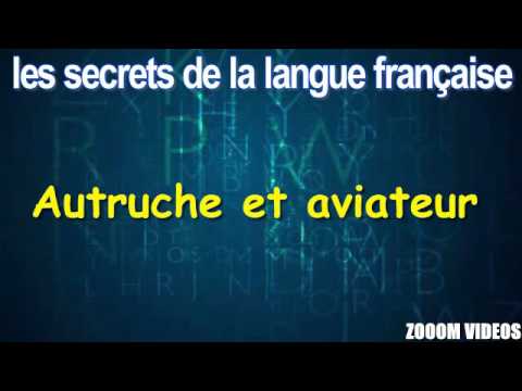Les Secrets De La Langue Française : Autruche et aviateur
