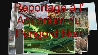 preview picture of video 'Reportage Aquarium périgord noir'