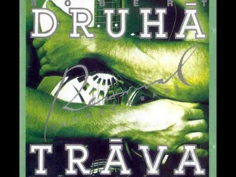 Robert KřesŤan - Wild Horses