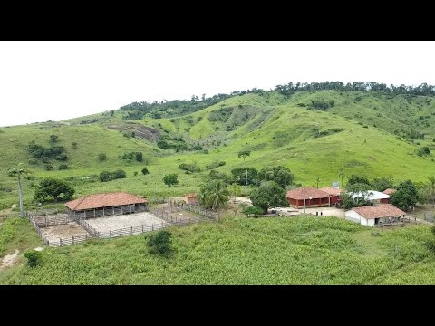 ✨️ FAZENDA 127.5 ALQUEIRES / DUPLA APTIDÃO A VENDA CARLOS CHAGAS-MG VOO DO DRONE ✨️