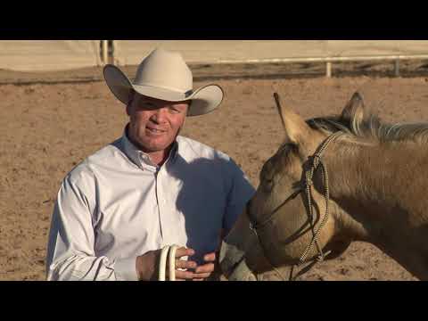 Ken McNabb: Ground Work | Preparing Your Horse to Ride