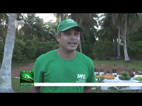 Acontecimientos más importantes de 2025 en la Isla de la Juventud