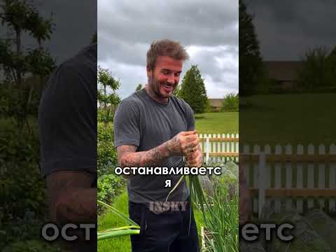 Богатейшие из разных стран