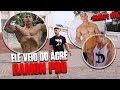 DO ACRE PARA O MUNDO PROFISSIONAL | RAMON MOSTRA SUA ROTINA | QUAL SUA DESCULPA ?