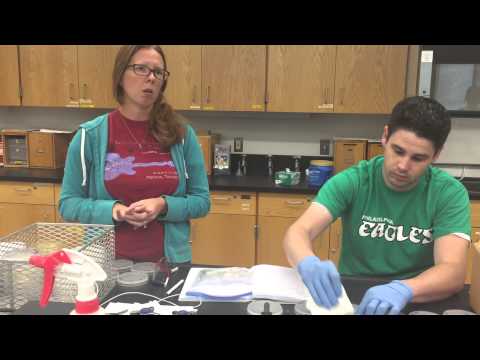 GMercyU Biology Students Conclude Summer Research