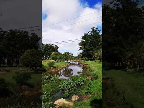 PARQUE M FIERRO CURUZÚ CUATIÁ CORRIENTES